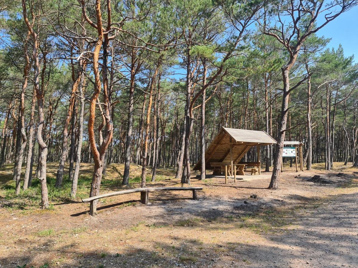Pokoje Goscinne Wierzchucino Extérieur photo